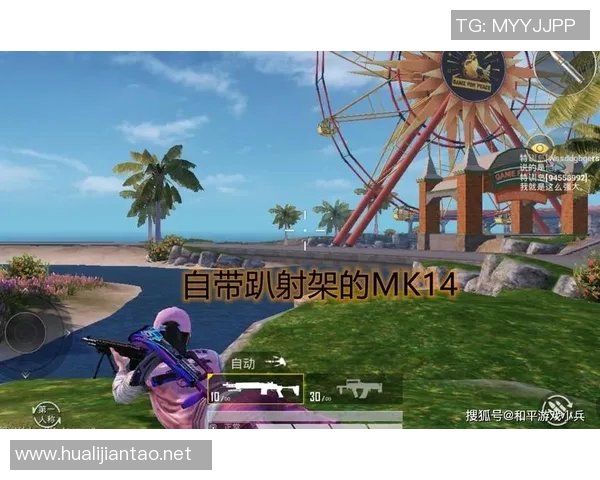 和平精英战术解析：WE战队反击体系的深度剖析与实战应用