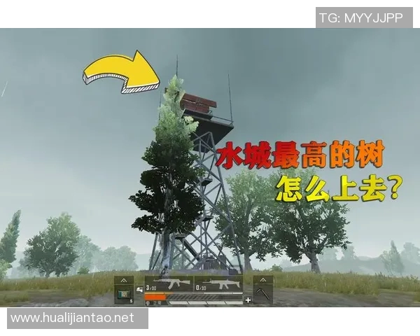 和平精英赛事分析：LNG战队荣登第八名背后的成功秘诀揭秘